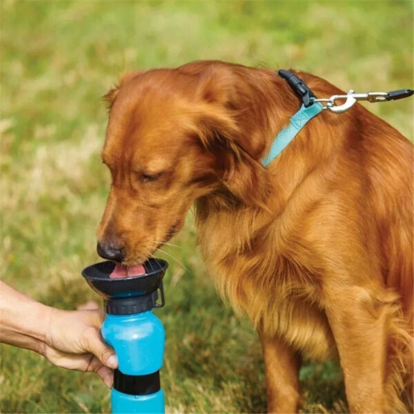 Termo Bebedero Portátil Aqua Dog – Bebedero Anti-Derrames para Perros y Gatos, Capacidad 500ml