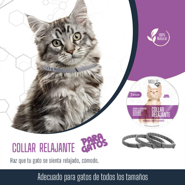 Collar Relajante para Gatos con Feromonas Naturales – Controla Estrés, Ansiedad y Comportamientos No Deseados - Image 2